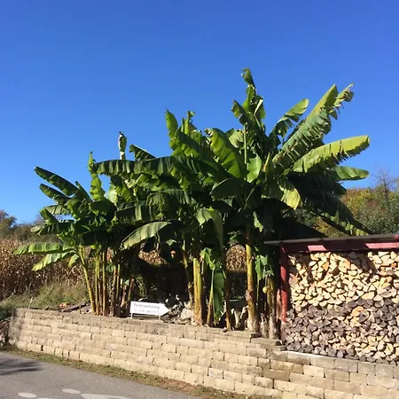 Rustikale Mit Garten * Allensbach