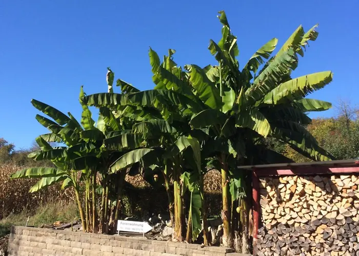 Rustikale Mit Garten * Allensbach